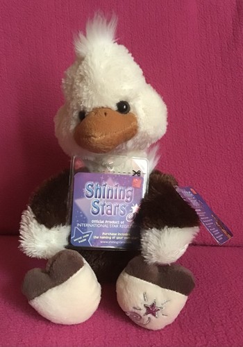 Russ shining stars ostrich - shining,