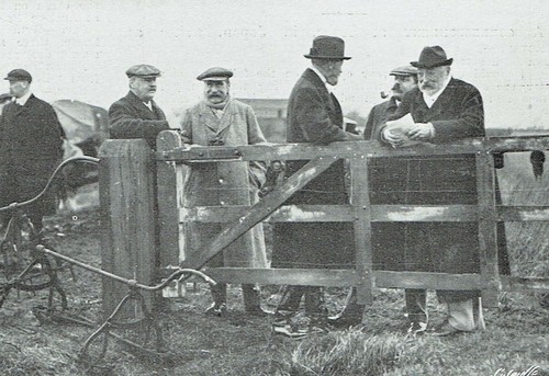 Hare coursing ridgway club - hare,