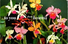 To You. From Hawaii Flowers of