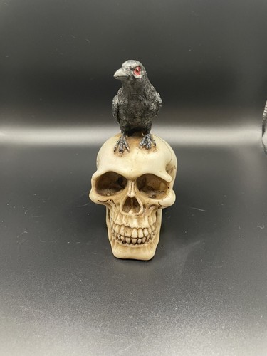 Skull with raven ornament - with,