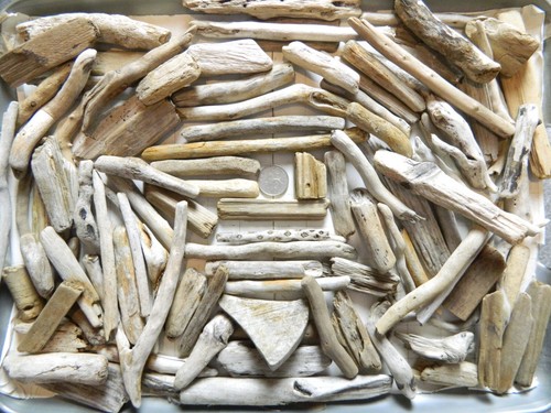 100 driftwood pieces - driftwood, for
