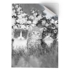 1 x Vinyl Sticker A3 - BW - Gorgeous Kittens Garden Cats Animals  #41343