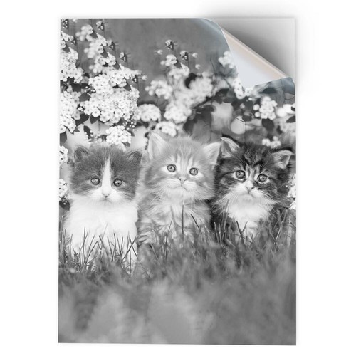 Vinyl sticker bw - sticker, a3
