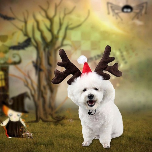 Christmas pet headband deer - christmas,