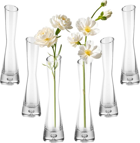Senenqu pack glass - 6,