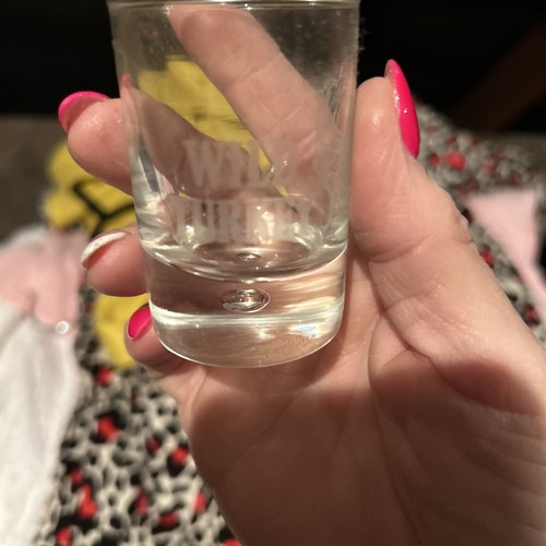 Etched wild turkey shot glass - wild,