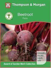 Thompson & Morgan Beetroot Pablo Seeds Garden Vegetable Plants 1 Pack 200 Seeds