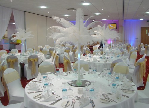 100 large white ostrich - large,