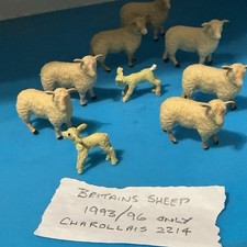 Seven Britains Charolais Sheep