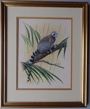 MARK CHESTER B1960 ORIGINAL SIGNED ACRYLIC PAINTING 'RING-TAILED LEMUR' 1990
