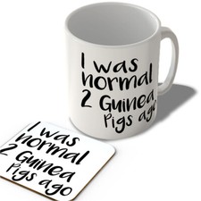 I Was Normal 2 Guinea Pigs Ago