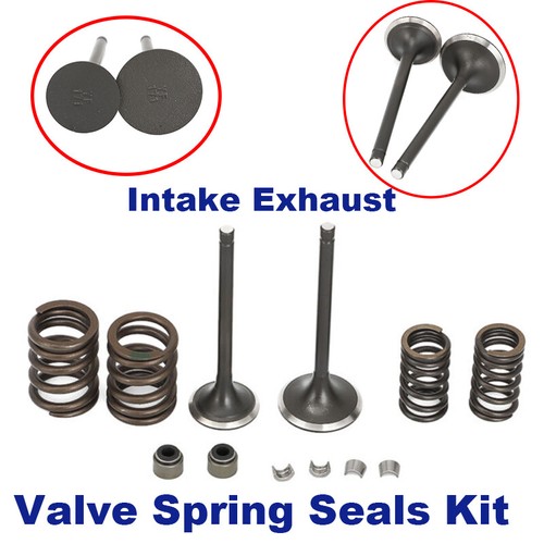 Intake exhaust valve - intake, spring