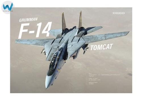 Grumman tomcat poster - f-14,