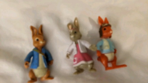 Peter rabbit figures cake - peter,