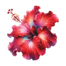 9x9cm flower wall decal