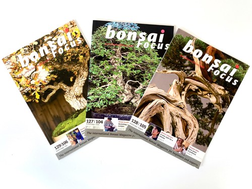 Bonsai focus magazine 3 - magazine, ~