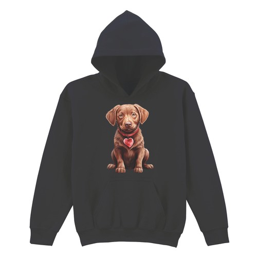 Chocolate labrador puppy with - chocolate,