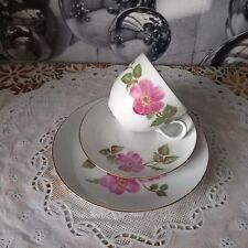 Vintage KAHLA Rare Tea/Coffee