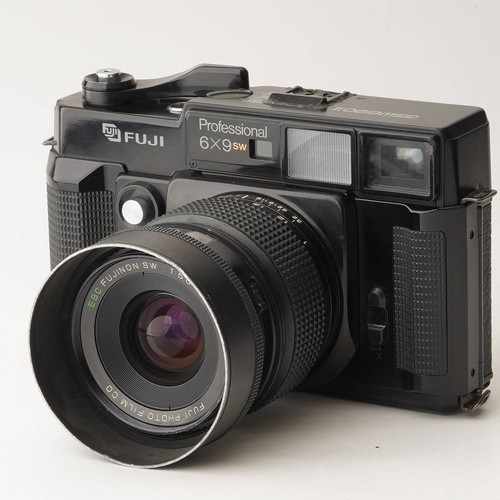Fuji gsw690 professional - ii,