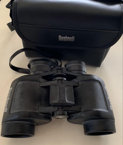 Bird watching binoculars - bird,