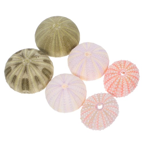 Pcs aquarium ornaments 4ft - aquarium,