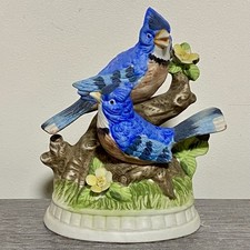 Vintage Blue Jay Jays Birds