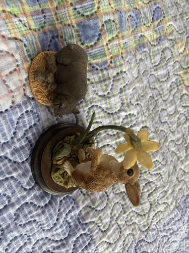 Country artists rabbit - artists, pig