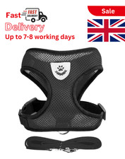 Pet Cat Harness Vest Walking