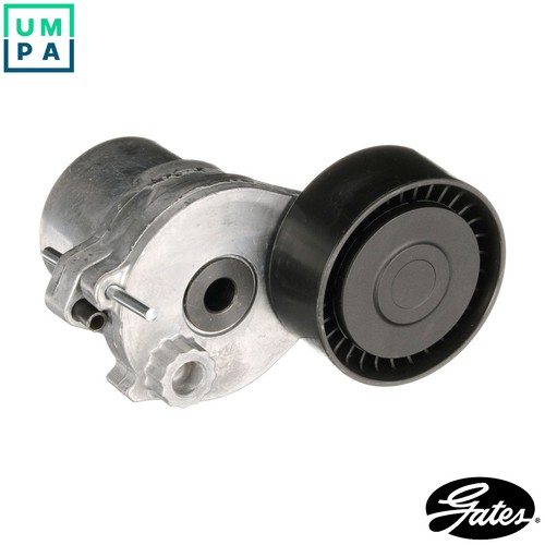Belt tensioner vribbed - belt,