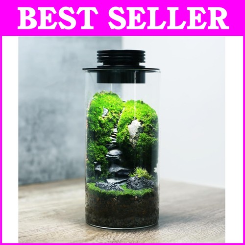 Rechargeable desktop terrarium - rechargeable,