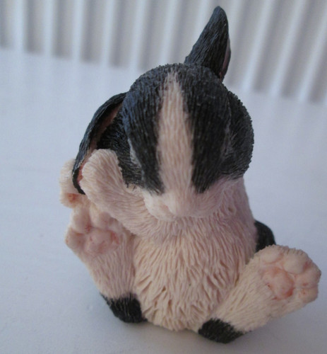 Black white rabbit - white,