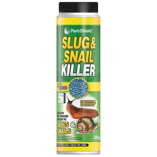 Pestshield slug and snail - slug,