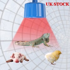 220V Pet Heat Lamp Bulb