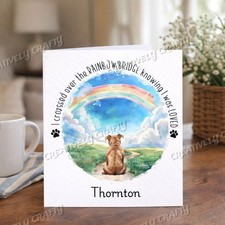 Pet Loss Sympathy Card Rainbow