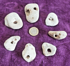 7 x Rare White Natural Hag Stones. Pagan/wicca/wishes/holey/lucky stones .. ZP11