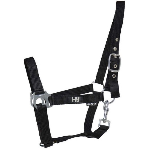 Horse economy plus - horse,