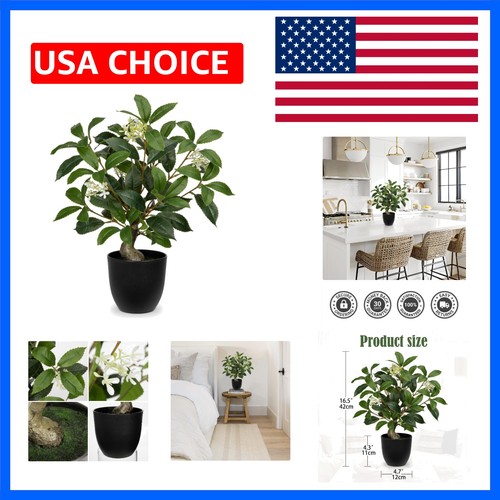 Fake plants faux - fake,