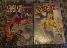 Spiderman & Bruce Lee graphic