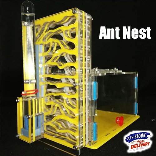Acrylic ant nest - ant, formicarium