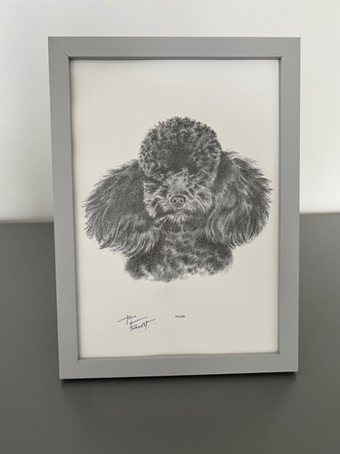 Framed black poodle - black,