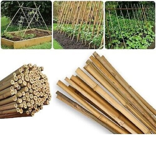 7 ft bamboo garden - 4,