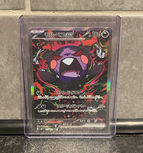 The pokémon company morpeko - the,