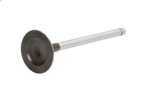 Intake valve v94599 for - ae,