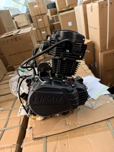 250cc 167fmm lifan - lifan, engine