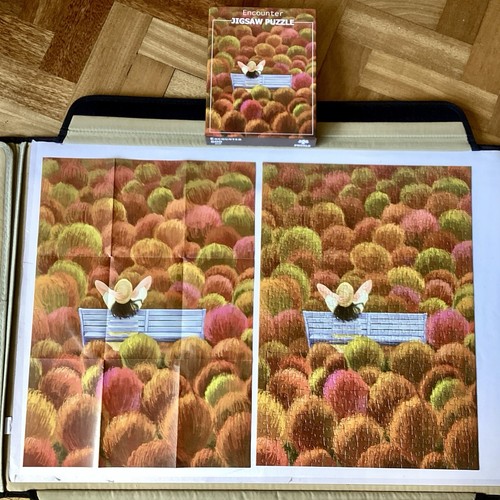 Huadada 500 piece - 500, jigsaw