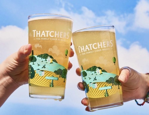New thatchers cider pint - 2,