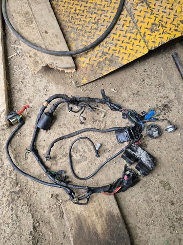 Honda xl600v wiring harness - honda,