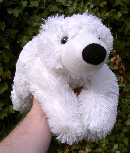 Notcutts garden centre polar - notcutts,