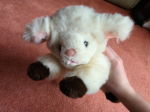 Lamb plush cream sheep - sheep, soft