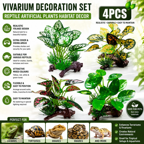 Vivarium decoration set 4pcs - decoration,